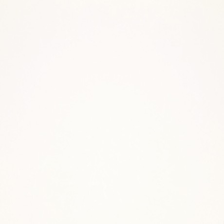 Обои R11870 Fipar Modelli Magici 1.06x10.05