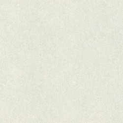 Обои 957303 Rasch Wall Textures Xl III 1.06x10.05