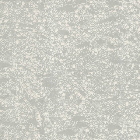 Обои Emiliana Parati Roberto Cavalli №8 19034