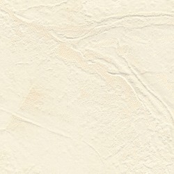 46046 Обои Zambaiti (Trussardi VI) (1*4) 10,05x1,06 винил на флизелине