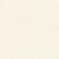 46049 Обои Zambaiti (Trussardi VI) (1*4) 10,05x1,06 винил на флизелине